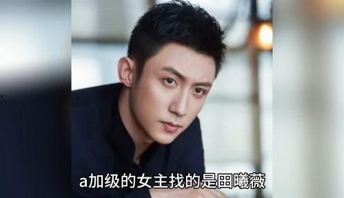 在娱乐圈吃瓜八卦的小说,幕后风云，瓜田乱舞